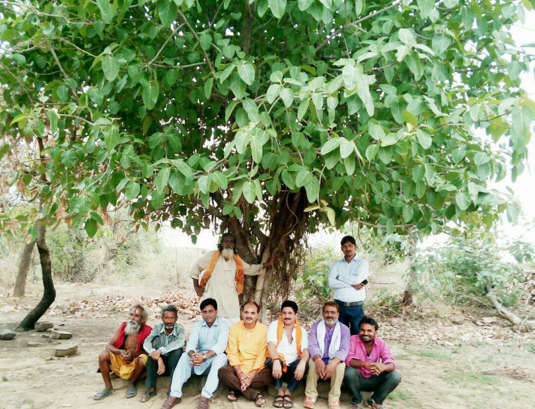 रामगढ धाम में बनेगा इको पार्क, पौधे रोप कर ग्रामीणों ने दिया संदेश