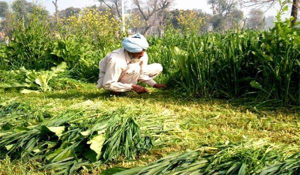 किसानों की कर्जमाफी पर कोई मदद नहीं करेगी मोदी सरकार